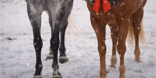 Winter Makeup Fun Night