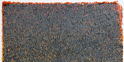 Focus Friday: Warren Rohrer