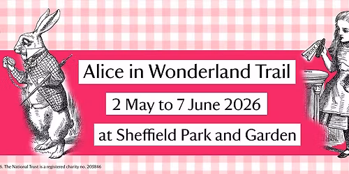 Alice in Wonderland Trail