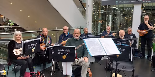 YAA Gig Ridings Centre