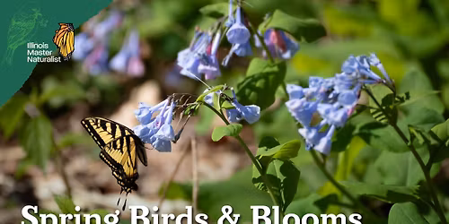Spring Birds & Blooms Nature Workshop