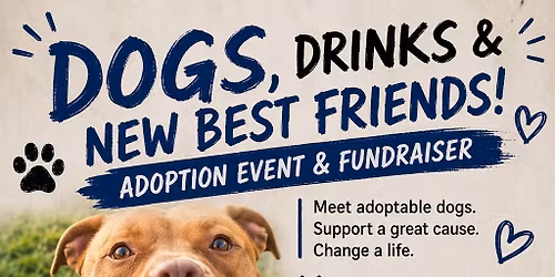 Dogs, Drinks & New Best Friends!