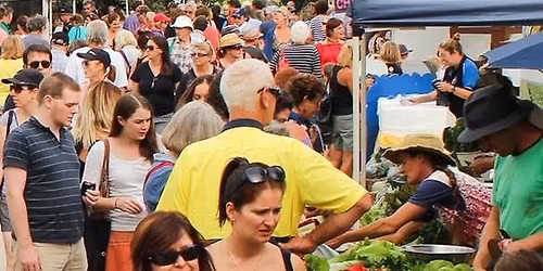 ScullyBug Markets at Ballam Park