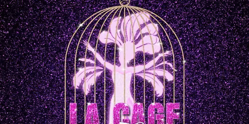 Encores! La Cage aux Folles at New York City Center