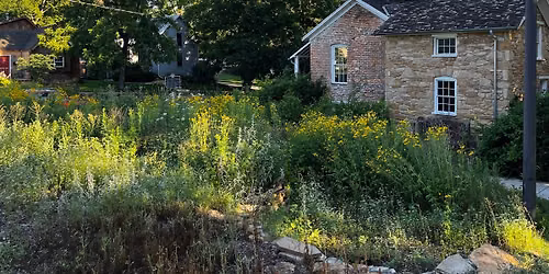 Hobbs Park Native Garden Workday