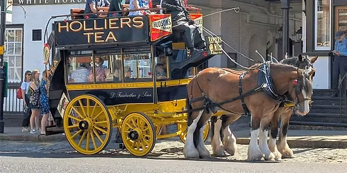 Vintage Day Horse Drawn Bus Rides