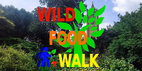June Brandon Hill Park (Bristol) Wild Food Foraging\/ Foragers Walk.