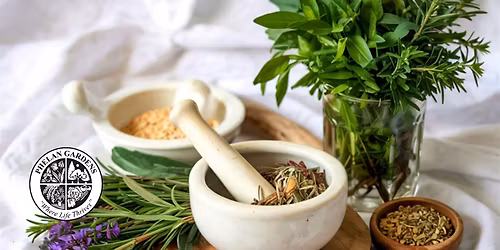 Growing Healing Kitchen Herbs