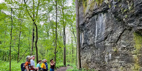 Women's Walk in the Woods