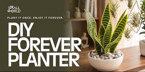 DIY Forever Planter