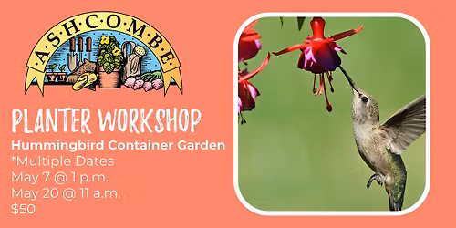 Hummingbird Container Garden
