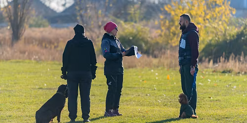 "\u0417\u043e\u043b\u043e\u0442\u0430 \u041e\u0441\u0456\u043d\u044c -2025 ". \u0417\u043c\u0430\u0433\u0430\u043d\u043d\u044f \u0437 BH\/VT, CK, IBGH 1-3, \u0440\u0430\u043d\u0433 \u0421\u0410\u0421\u0422. 09.11.2025