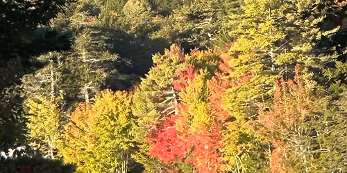 Biodanza Fall Series - Revealing and Strengthening Identity