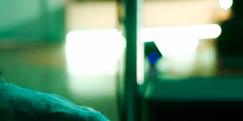 Open Class - approaches to improvsiation with val smith & Kristian Larsen