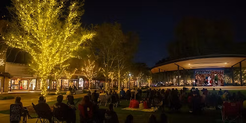 Holiday Movies In The Park