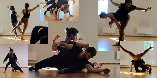 Contact Improv Fundamentals