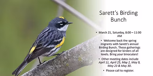Sarett's Birding Bunch 