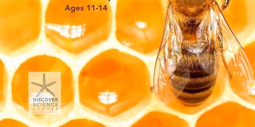 HOMESCHOOL: SOCIAL INSECTS