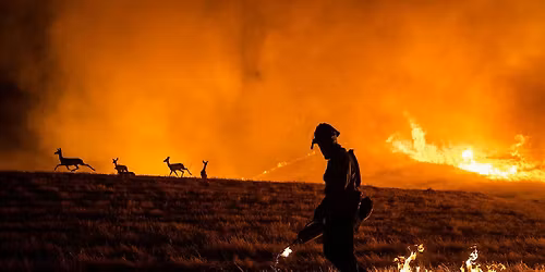 ENLIGHTENMENT: Photojournalist Max Whittaker on Covering News in California