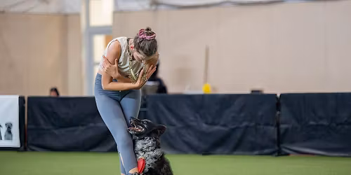 Czerwcowe ta\u0144ce nad morzem, czyli ob\u00f3z dogdancing w Stegnie