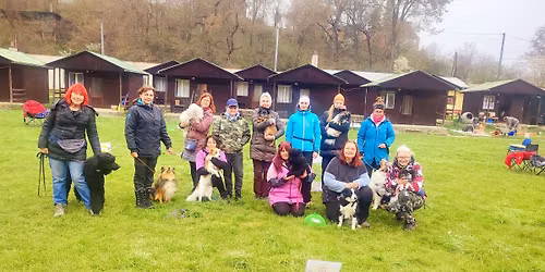Rally obedince, dogdancing a triky s Bob\u0161em