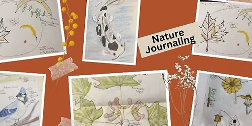 Sketch, Scribble & Discover \u2013 Nature Journaling