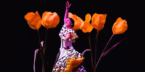 Friday Night Lights: Experience Flamenco with Laura S\u00e1nchez