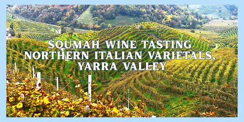 Soumah Wine Tasting: Northern Italian Varietals, Yarra Valley
