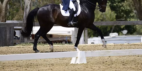 Dressage at Pepper Creek 1* June show