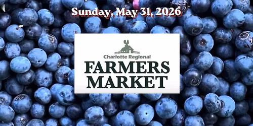 Blueberry Day! 