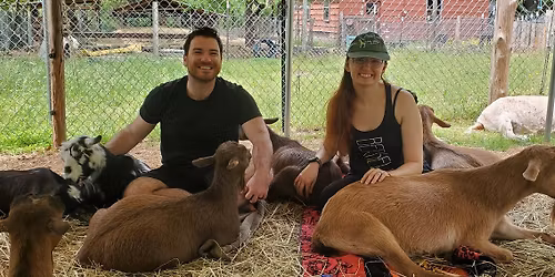 Goat Snuggles and Chill on the Farm