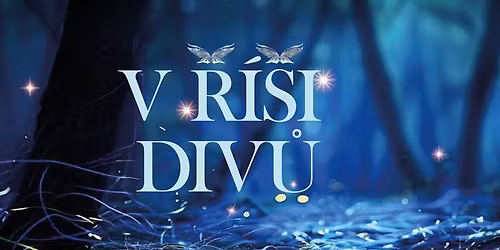 Maturitn\u00ed ples 4MO\ud83e\udd8b