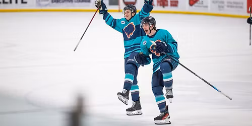 Parking Anchorage Wolverines at Fairbanks Ice Dogs