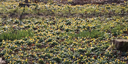 Naturdag p\u00e5 S\u00f8lyst