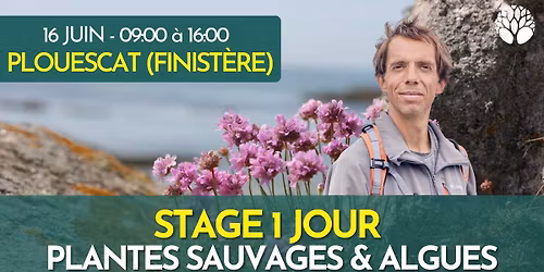 STAGE PLANTES SAUVAGES ET ALGUES
