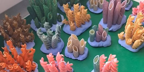 Coral Reef Pasta