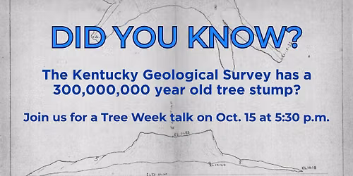 Tree\u2019s Been Dead 300 Million Years \u2013 Let\u2019s Talk About It