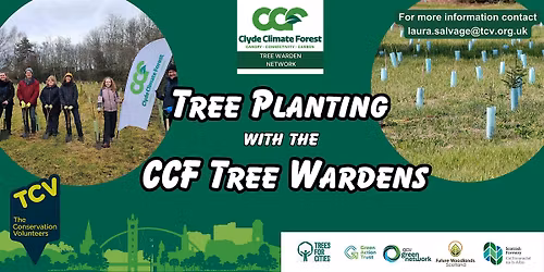 Tree Planting on  Langton Road, Glasgow  with CCF Tree Wardens