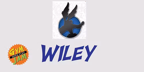 Wiley Elementary Gym Jam Fundraiser OPEN PLAY Sat 2-4 $20