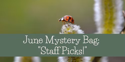 June Mystery Bag