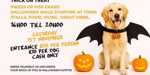 Halloween Fancy Dress Walk