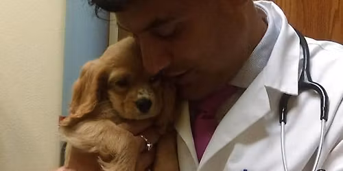 Community Pet vaccination Clinic- Plant City