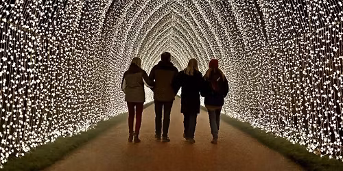 Lightscape at San Francisco Botanical Garden