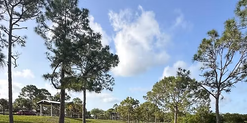 Outdoor Mindfulness in the park EVERY SUNDAY 8am