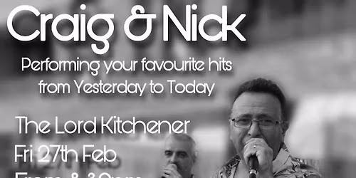 Live Music - The Vinyls