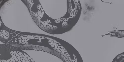 12th House Sun, Waking Hours, Bird Hotel, & Josiah Shipp