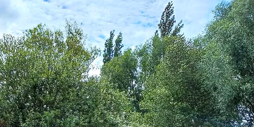 Lezing "introductie in de 5 elementenleer"