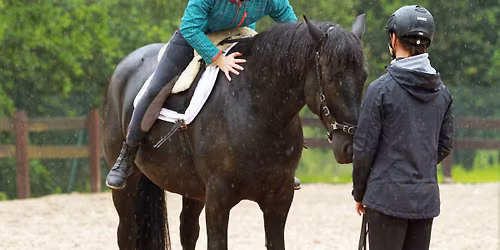 Otev\u0159en\u00e9 tr\u00e9ninky (mlad\u00ed kon\u011b)