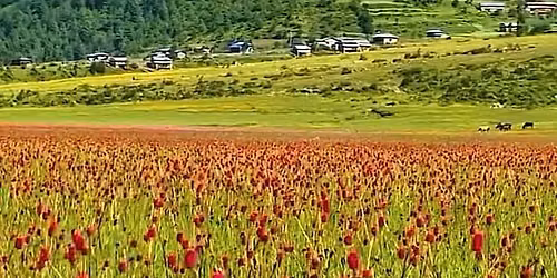 Event Name : Dhorpatan - Bukipatan Hiking Event (Premium Package)