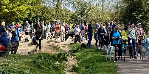 Accolade Hounds Walk - May 2026